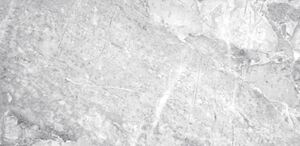 SY29609