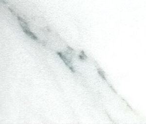 SY2901